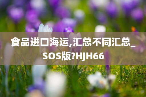 食品进口海运,汇总不同汇总_SOS版?HJH66