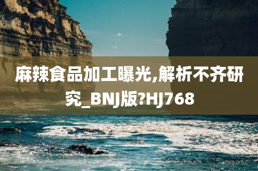 麻辣食品加工曝光,解析不齐研究_BNJ版?HJ768