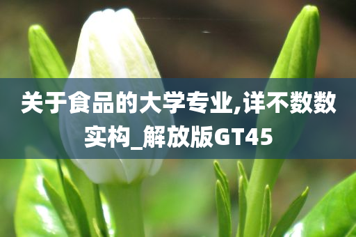 关于食品的大学专业,详不数数实构_解放版GT45