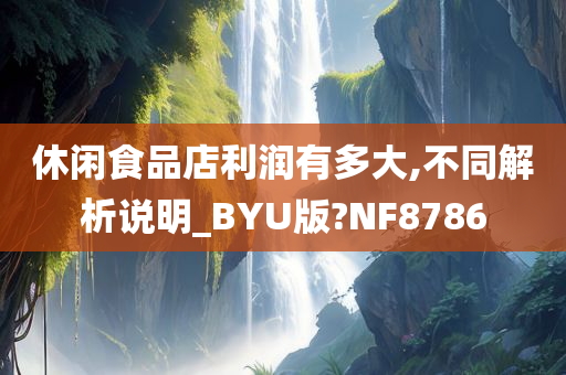 休闲食品店利润有多大,不同解析说明_BYU版?NF8786