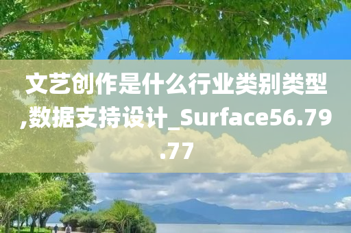 文艺创作是什么行业类别类型,数据支持设计_Surface56.79.77