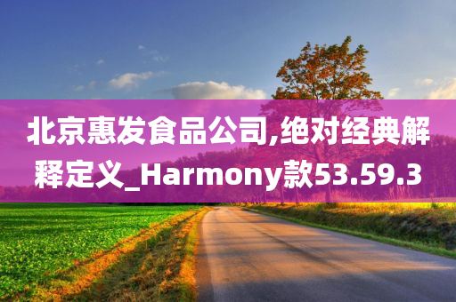 北京惠发食品公司,绝对经典解释定义_Harmony款53.59.30