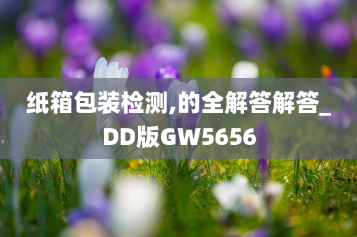 纸箱包装检测,的全解答解答_DD版GW5656