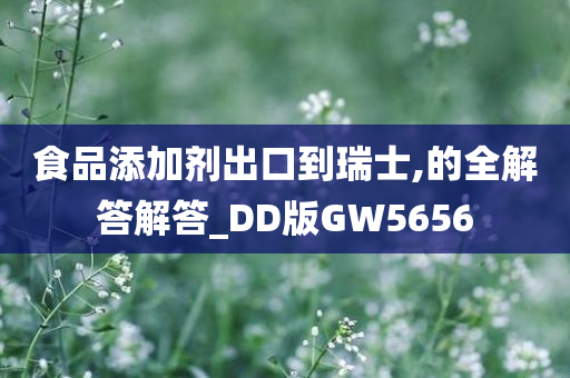 食品添加剂出口到瑞士,的全解答解答_DD版GW5656