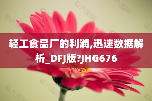 轻工食品厂的利润,迅速数据解析_DFJ版?JHG676