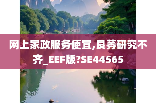 网上家政服务便宜,良莠研究不齐_EEF版?SE44565