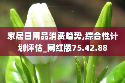 家居日用品消费趋势,综合性计划评估_网红版75.42.88