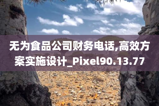 无为食品公司财务电话,高效方案实施设计_Pixel90.13.77