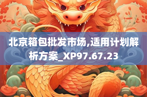 北京箱包批发市场,适用计划解析方案_XP97.67.23