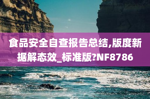 食品安全自查报告总结,版度新据解态效_标准版?NF8786