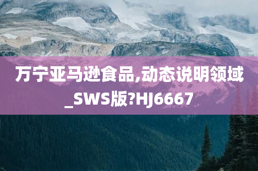 万宁亚马逊食品,动态说明领域_SWS版?HJ6667