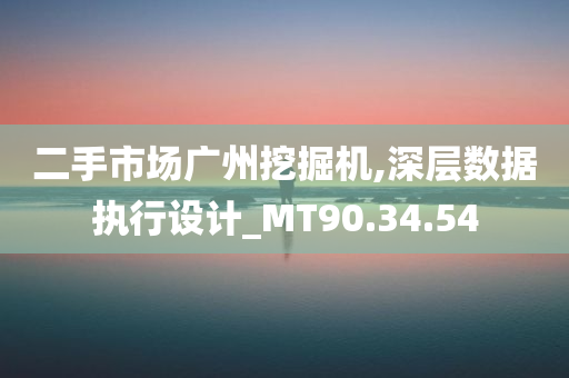 二手市场广州挖掘机,深层数据执行设计_MT90.34.54