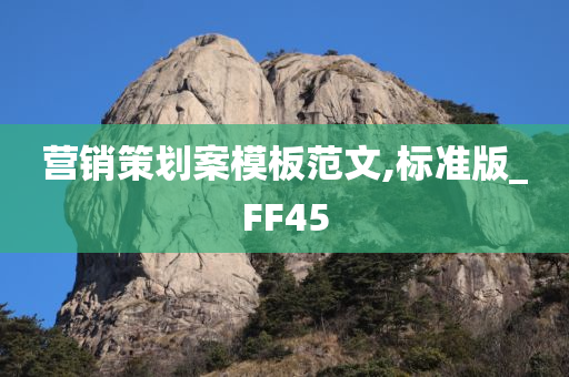 营销策划案模板范文,标准版_FF45