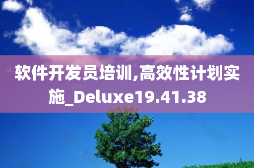 软件开发员培训,高效性计划实施_Deluxe19.41.38