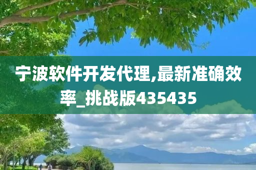 宁波软件开发代理,最新准确效率_挑战版435435