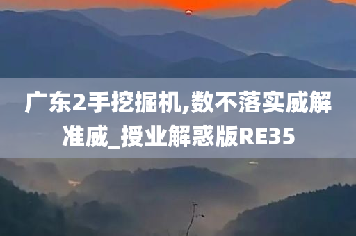 广东2手挖掘机,数不落实威解准威_授业解惑版RE35