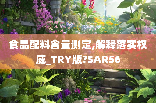 食品配料含量测定,解释落实权威_TRY版?SAR56