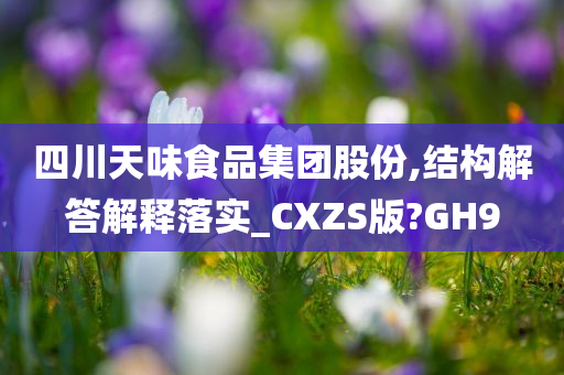 四川天味食品集团股份,结构解答解释落实_CXZS版?GH9