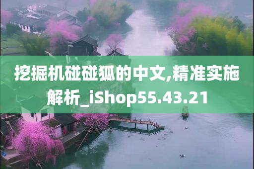 挖掘机碰碰狐的中文,精准实施解析_iShop55.43.21