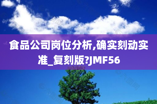 食品公司岗位分析,确实刻动实准_复刻版?JMF56