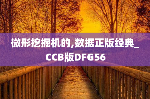 微形挖掘机的,数据正版经典_CCB版DFG56