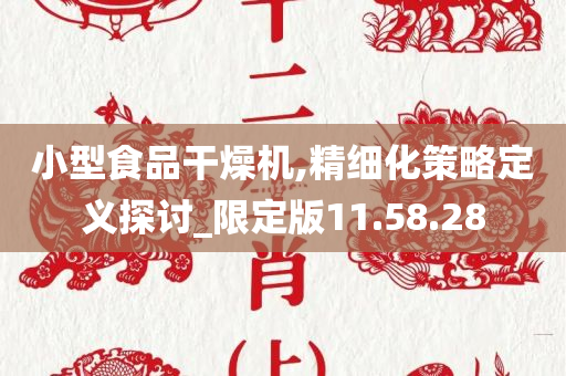 小型食品干燥机,精细化策略定义探讨_限定版11.58.28