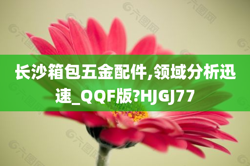 长沙箱包五金配件,领域分析迅速_QQF版?HJGJ77