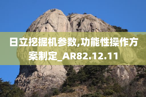 日立挖掘机参数,功能性操作方案制定_AR82.12.11