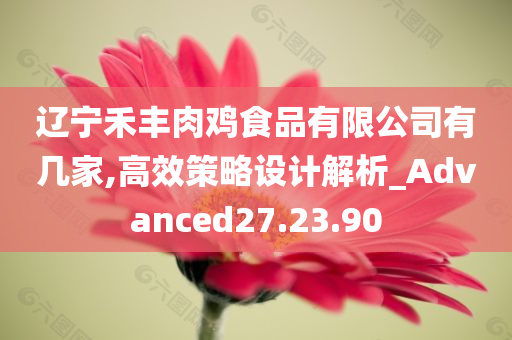 辽宁禾丰肉鸡食品有限公司有几家,高效策略设计解析_Advanced27.23.90