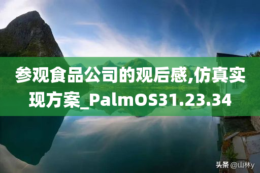 参观食品公司的观后感,仿真实现方案_PalmOS31.23.34