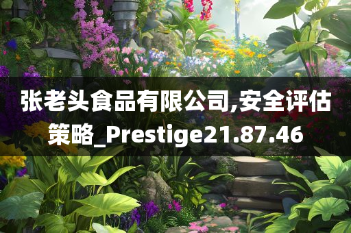 张老头食品有限公司,安全评估策略_Prestige21.87.46