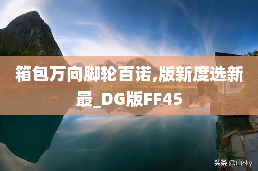 箱包万向脚轮百诺,版新度选新最_DG版FF45