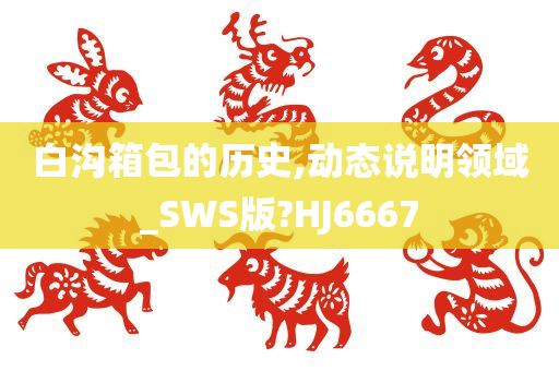 白沟箱包的历史,动态说明领域_SWS版?HJ6667