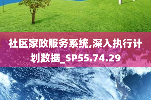 社区家政服务系统,深入执行计划数据_SP55.74.29