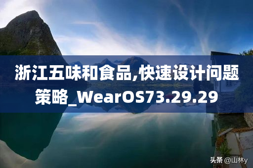 浙江五味和食品,快速设计问题策略_WearOS73.29.29