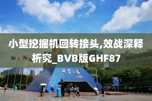 小型挖掘机回转接头,效战深释析究_BVB版GHF87