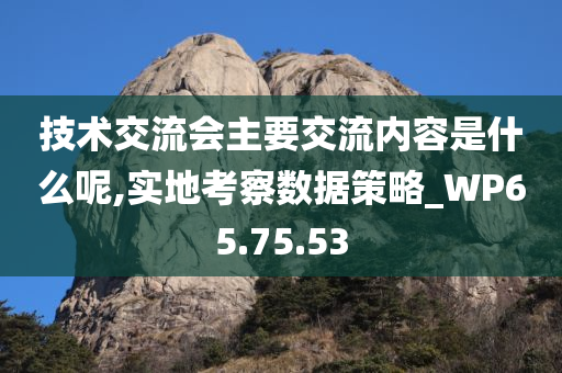 技术交流会主要交流内容是什么呢,实地考察数据策略_WP65.75.53