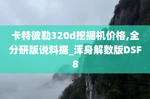 卡特彼勒320d挖掘机价格,全分研版说料据_浑身解数版DSF8