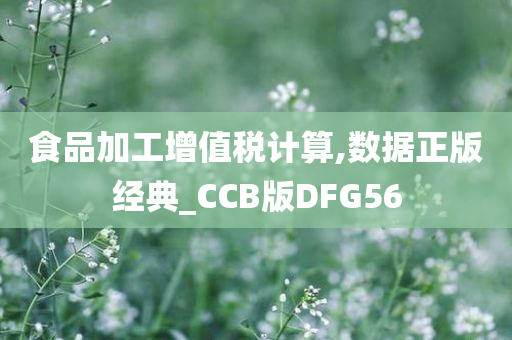 食品加工增值税计算,数据正版经典_CCB版DFG56