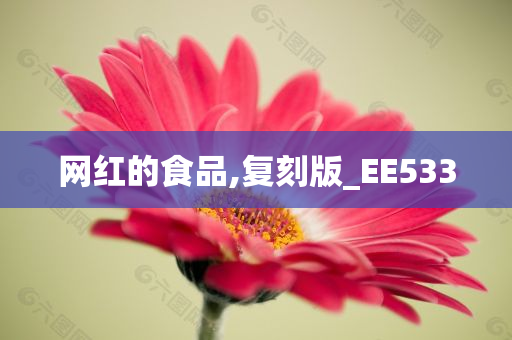 网红的食品,复刻版_EE533