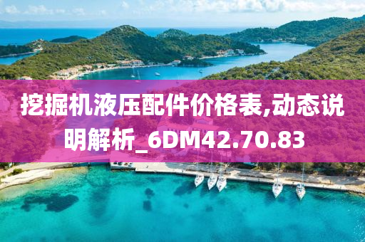 挖掘机液压配件价格表,动态说明解析_6DM42.70.83