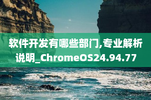 软件开发有哪些部门,专业解析说明_ChromeOS24.94.77