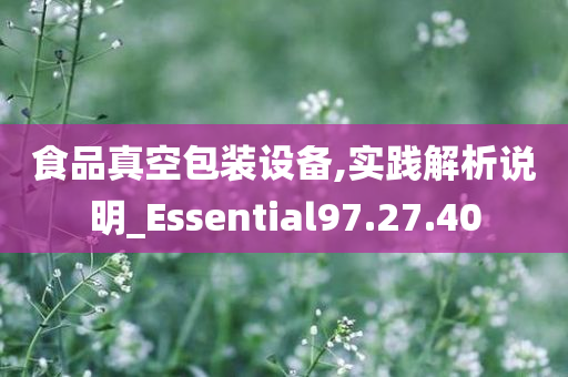 食品真空包装设备,实践解析说明_Essential97.27.40