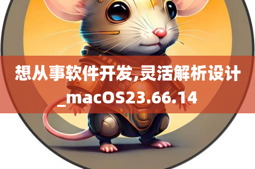 想从事软件开发,灵活解析设计_macOS23.66.14