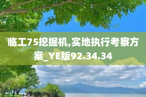 临工75挖掘机,实地执行考察方案_YE版92.34.34