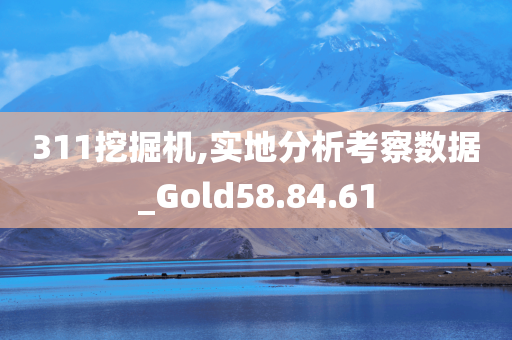 311挖掘机,实地分析考察数据_Gold58.84.61