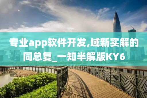 专业app软件开发,域新实解的同总复_一知半解版KY6