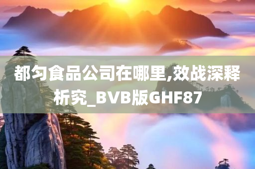 都匀食品公司在哪里,效战深释析究_BVB版GHF87