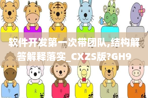 软件开发第一次带团队,结构解答解释落实_CXZS版?GH9