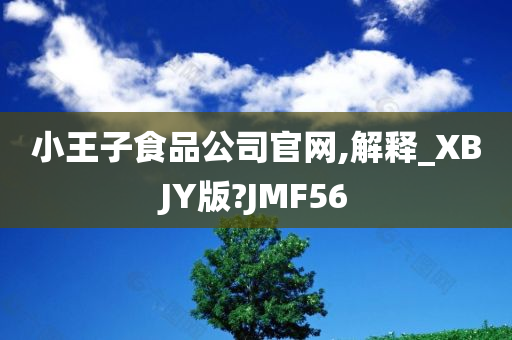 小王子食品公司官网,解释_XBJY版?JMF56